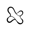EverestX logo