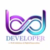 BD Developer logo