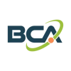 BCA IT, Inc. logo