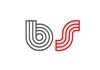 Big Surge Inc. logo