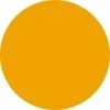 Regressionly logo