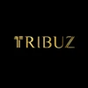Tribuz Projects Pvt. Ltd. logo