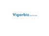 VigarBiz logo