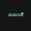 REMEDIATIONX logo