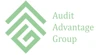Audit Advantage Group logo