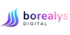 Borealys LLC logo