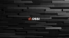 DSSI LLC logo