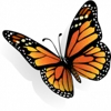 Devcity logo