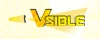 Vsible.Online logo