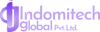 Indomitech Global Pvt. Ltd. logo