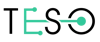 TESO logo