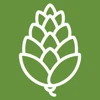 Red Pine Digital logo
