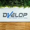DVelop Software Solutions logo