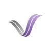 Virtual Ventures Corp. logo