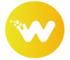 Wiser Websites logo