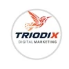 Triodix logo