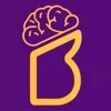 BrainyWebs - Web Design & Marketing logo
