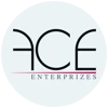ACE Enterprizes logo