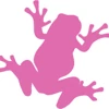 Pink Frog Interactive, Inc. logo