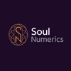 Soul Numerics logo