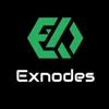 Exnodes logo