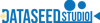 DS Studio logo