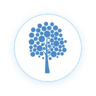 Davydov Consulting logo