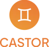 Castor Development Outsourcing logo
