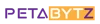 PetabytZ Technologies Inc logo