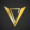 Virtual Crew Pvt Ltd logo