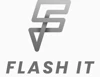 Flash IT Managed Services Provider logo
