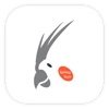 Spikey Tech Inc. logo