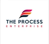 The Process Enterprise logo