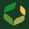 iCapital Options logo
