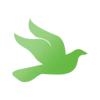 Spirit Pixels logo