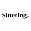 Sineting - Your Google Partner logo