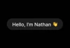 Nathan Wilson logo