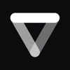 vinille logo