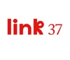Link37 logo