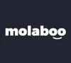 Molaboo Development logo
