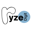 Ryze Digit logo