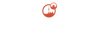 Toronto SEO Group logo