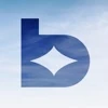 bubedame logo