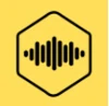 Chat With Leaders Media logo