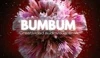 BumBum Communication logo