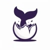 N12M logo
