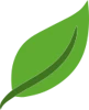 Leaf Software Development logo