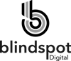 Blindspot Digital logo