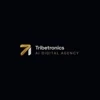 Tribe Tronics logo