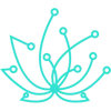 Radisoft logo